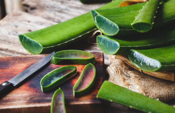 Uses of Aloe Vera