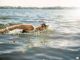 Health benefits of Swimming