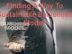 Finding a way to a sustainable business model