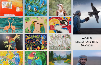 World Migratory Bird Day