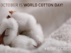 World Cotton Day 2021